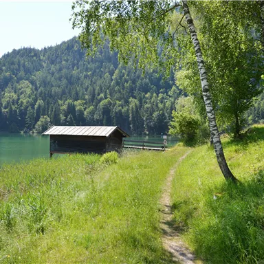 Ein ruhiger Weg entlang eines Gewässers, umgeben von grünen Wiesen und Bäumen. Im Hintergrund steht ein kleines Holzhaus.