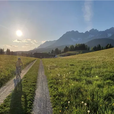 Eine Person fährt mit dem Fahrrad auf einem schmalen Weg durch eine grüne Wiese. Im Hintergrund sind Berge und die Sonne scheint am Himmel.