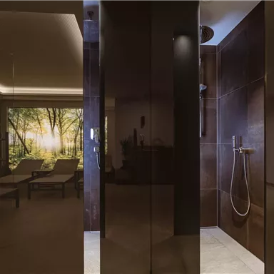 An elegant wellness area with a modern shower and comfortable loungers. The soft light and the green mural create a relaxing atmosphere.
