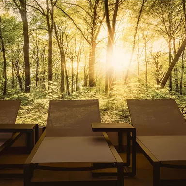 A relaxing room with loungers and a large window that shows a sunny forest. Light streams through the trees, creating a tranquil atmosphere.