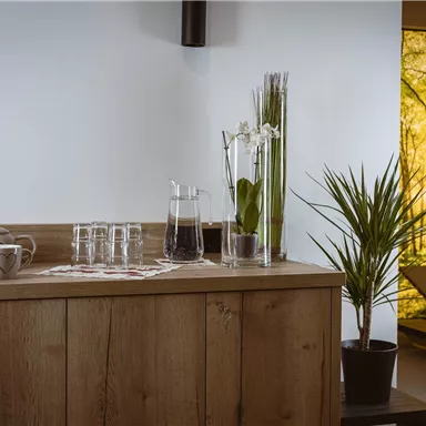 An elegant wooden counter with glasses, a coffee pot, and plants. In the background, there is a large window with a forest motif.