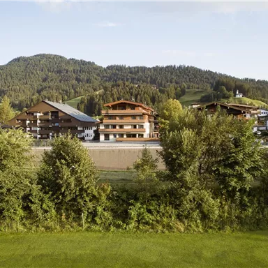 A picturesque landscape with green meadows and dense trees. In the background, charming houses and gentle hills can be seen.