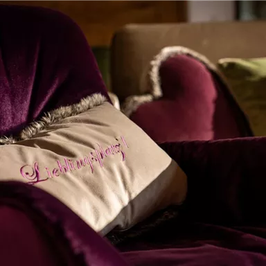 An elegant, velvety chair in purple with a cushion that bears the words "Lounge." The background shows a cozy living atmosphere.