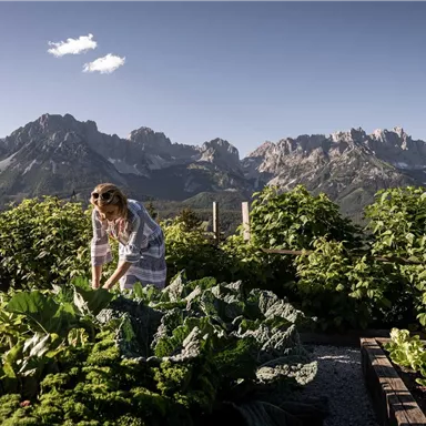 A person is working in a garden with fresh vegetables. In the background, impressive mountains and a clear sky can be seen.