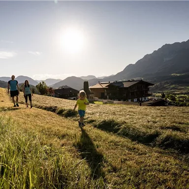 A family is walking in a field in the mountains. The sun is shining and the landscape is green and hilly.