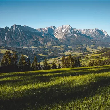 A peaceful landscape with green meadows and majestic mountains in the background. The clear sky conveys a serene atmosphere.