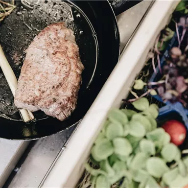 A juicy piece of meat in a pan, surrounded by fresh herbs. Next to the pan are colorful salads and fresh vegetables.