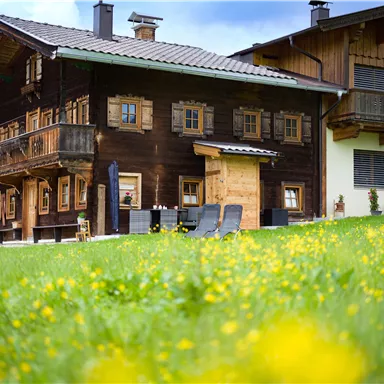 Ein traditionelles Holzhaus mit einem großen Balkon und vielen Fenstern. Es steht in einer blühenden Wiese mit bunten Blumen.