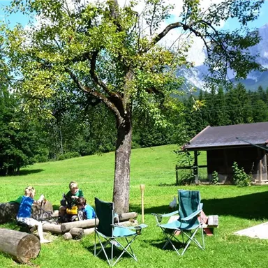 A green meadow with a large tree and a woodpile. Two people are sitting by the campfire and enjoying nature.