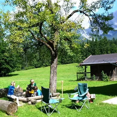 A green meadow with a large tree and a cozy seating area made of wooden logs. In the background, a small cottage and mountains can be seen.