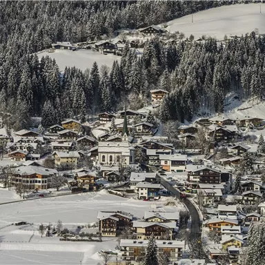 A picturesque village in the snow with many snow-covered houses. The winter forest surrounds the settlement and the landscape is clear and peaceful.