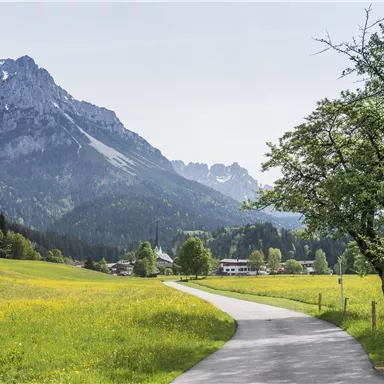 An idyllic landscape with green meadows and a narrow path. In the background, majestic mountains rise under a clear sky.