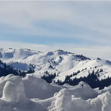 Schneebedeckte Berge unter einem klaren Himmel. Im Vordergrund sind große Schneeverwehungen zu sehen.