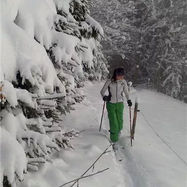 Eine Person fährt mit Ski auf einem verschneiten Weg. Umgeben von schneebedeckten Bäumen ist die Landschaft winterlich und ruhig.