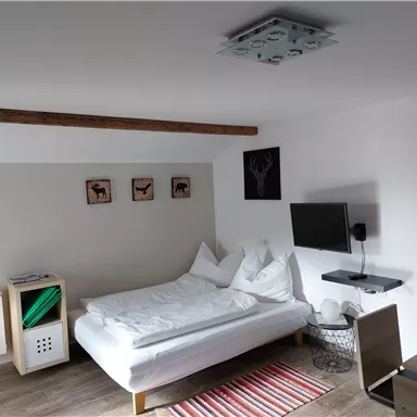 A modern bedroom with a double bed, a television, and wood paneling. The walls are decorated with animal pictures and a carpet lies on the floor.