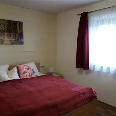 A cozy bedroom with a large bed and red pillows. The window lets in plenty of sunlight and a beautiful picture of a forest hangs on the wall.