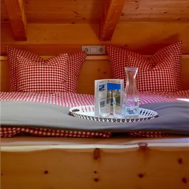 A cozy bedroom with wood paneling. On the bed, there are checkered pillows and a tray with glasses and a brochure.