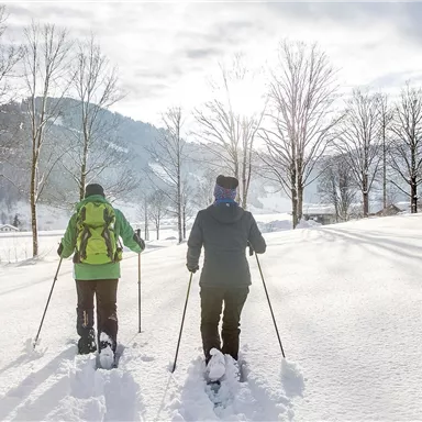 Snowshoe hiking