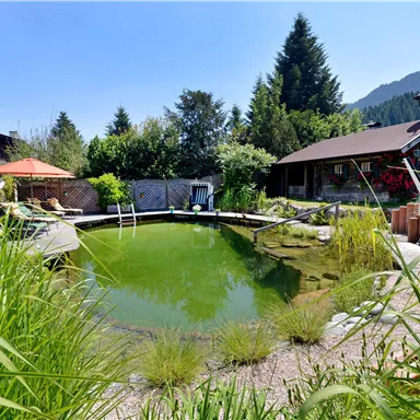 A quiet garden with a large natural pool and lush greenery. In the background, two buildings and trees can be seen.