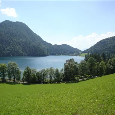 Ein malerischer See umgeben von Bergen und üppigem Grün. Die klare Luft und das sonnige Wetter schaffen eine friedliche Atmosphäre.