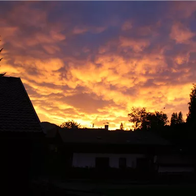 Ein eindrucksvoller Sonnenuntergang mit leuchtenden orange- und lilafarbenen Wolken. Im Vordergrund sind dunkle Silhouetten von Bäumen und Gebäuden zu sehen.