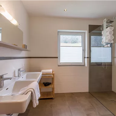 A modern bathroom with two sinks and a shower. Bright colors and natural light sources create an inviting atmosphere.