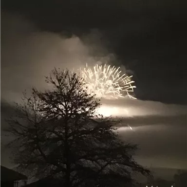 Ein Feuerwerk leuchtet am Nachthimmel hinter einem Baum. Dunkle Wolken umrahmen die leuchtenden Farben des Feuerwerks.