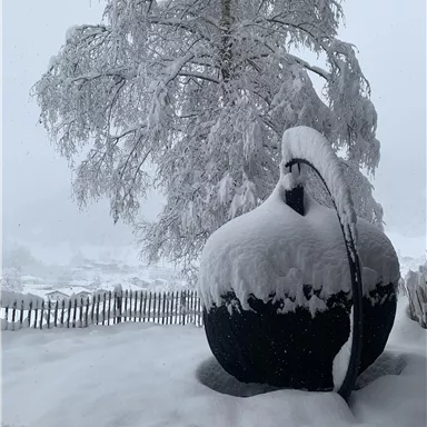 Eine verschneite Landschaft mit einem großen, schneebedeckten Objekt und einem Baum im Hintergrund. Der Boden ist komplett mit Schnee bedeckt.