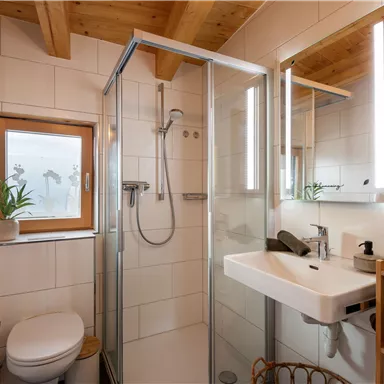 A modern bathroom with a glass shower and a sink. Wooden ceiling and large windows create a bright atmosphere.