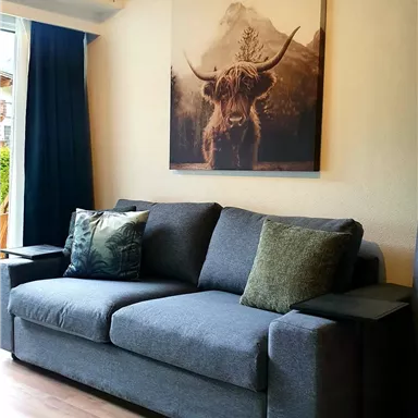 Ein gemütliches Wohnzimmer mit einem grauen Sofa und dekorativen Kissen. An der Wand hängt ein Bild von einem Highland-Rind vor einer Berglandschaft.
