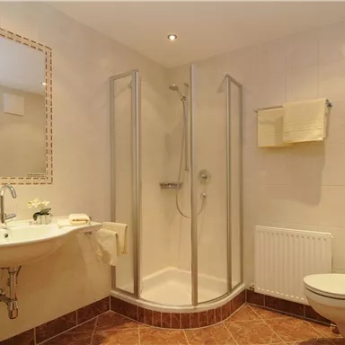A modern bathroom with a shower and sink. The walls are brightly tiled and there is a decorative plant on the sink.