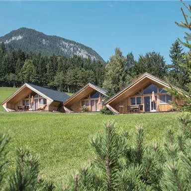 Three modern wooden chalets stand in a green meadow. In the background, high mountains and forests can be seen.