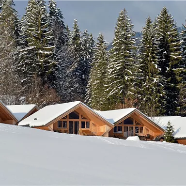 An idyllic winter landscape with snow-covered huts. In the background, there are tall, green pine trees.