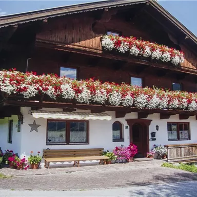 Ein traditionelles Haus mit üppigen Blumenbalkonen und einer gepflegten Veranda. Umgeben von grünem Gras und bunten Pflanzen.