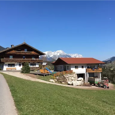 Ein malerisches alpenländisches Dorf mit traditionellen Holzhäusern. Im Hintergrund sind schneebedeckte Berge und ein klarer blauer Himmel zu sehen.