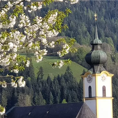 Eine schöne Kirche mit einem zwiebelförmigen Turm steht im Vordergrund. Im Hintergrund sieht man grüne Hügel und blühende Bäume.