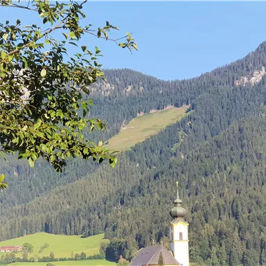 Eine malerische Berglandschaft mit grünen Wiesen und einer kleinen Kirche im Vordergrund. Der Himmel ist klar und die Natur strahlt Ruhe aus.