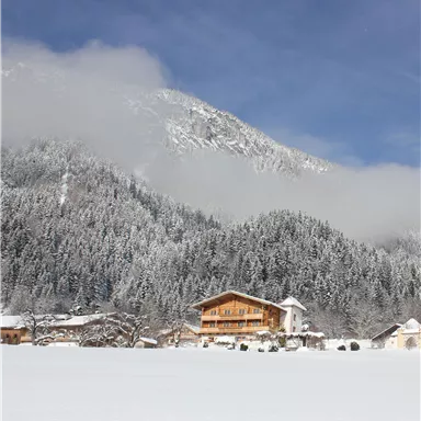 Eine verschneite Landschaft mit einem Holzhaus und majestätischen Bergen im Hintergrund. Der Himmel ist klar und blau, während der Schnee die Umgebung bedeckt.