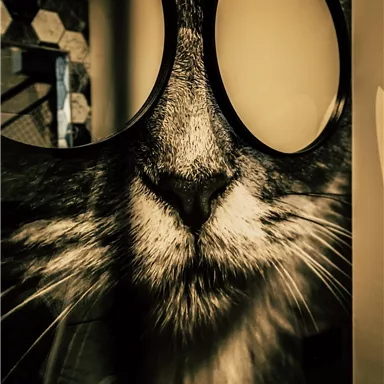 A creative mural of a cat's head with large glasses. The colors are predominantly dark and modern.