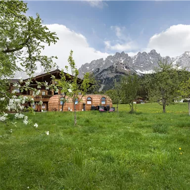 Ein malerisches Alpenland mit grünen Wiesen und blühenden Bäumen. Im Hintergrund sind majestätische Berge zu sehen.