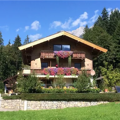 A beautiful wooden house in the mountains, surrounded by trees and colorful flowers. The clear blue sky creates a pleasant atmosphere.