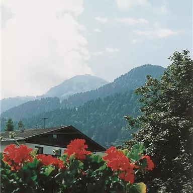 Ein schöner Bergblick mit grünen Bergen und leichten Wolken. Im Vordergrund blühen rote Blumen in einem Blumenkasten.