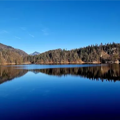 Ein ruhiger See umgeben von hohen Bäumen und Bergen. Der klare blaue Himmel spiegelt sich im Wasser.