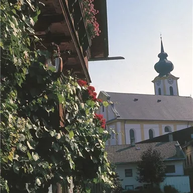 Ein traditionelles Holzgebäude mit blühenden Balkonen und grüner Vegetation. Im Hintergrund ist eine Kirche mit Zwiebelturm zu sehen.