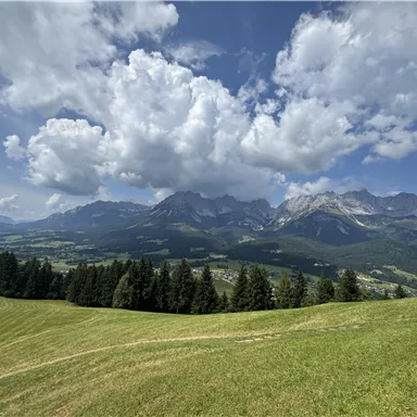 Eine malerische Landschaft mit grünen Wiesen und majestätischen Bergen im Hintergrund. Der Himmel ist blau mit weißen Wolken.