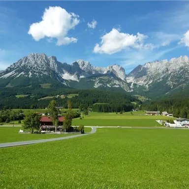 Eine malerische Landschaft mit hohen Bergen und saftigem, grünem Gras. Ein kurvenreicher Weg führt durch die friedliche Umgebung.