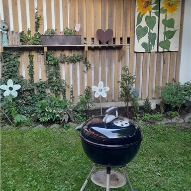 Barbecue facilities at Mayr's house