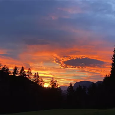 A beautiful sunset over a forest. The sky glows in warm orange and purple tones.