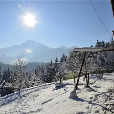 Ein verschneiter Hang mit Bäumen und Bergen im Hintergrund. Die Sonne scheint klar über die Winterlandschaft.