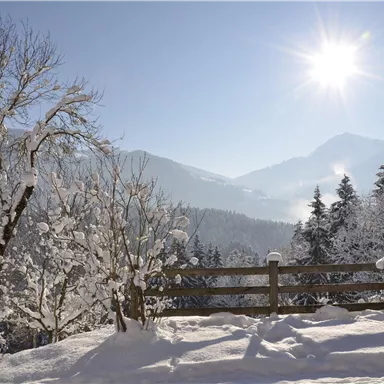 Eine verschneite Landschaft mit schneebedeckten Bäumen und Bergen im Hintergrund. Die Sonne scheint hell am blauen Himmel.